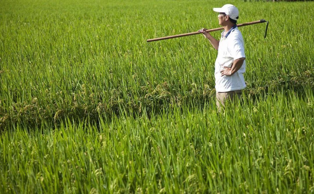 農(nóng)產(chǎn)品商標(biāo)注冊(cè)有什么好處？